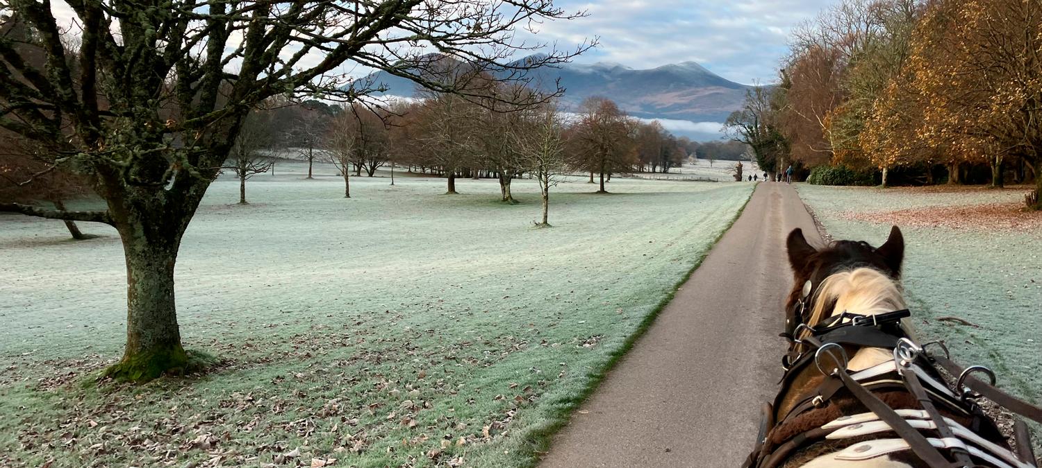 The Heights Hotel, Killarney | Killarney | 4