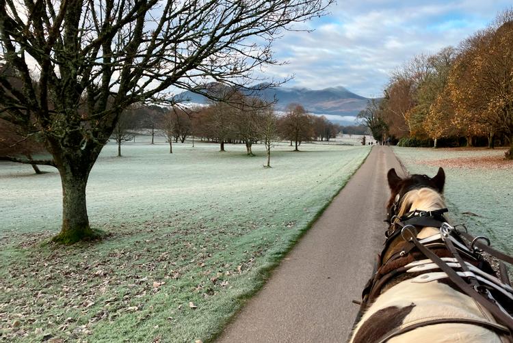 The Heights Hotel, Killarney | Killarney | 6